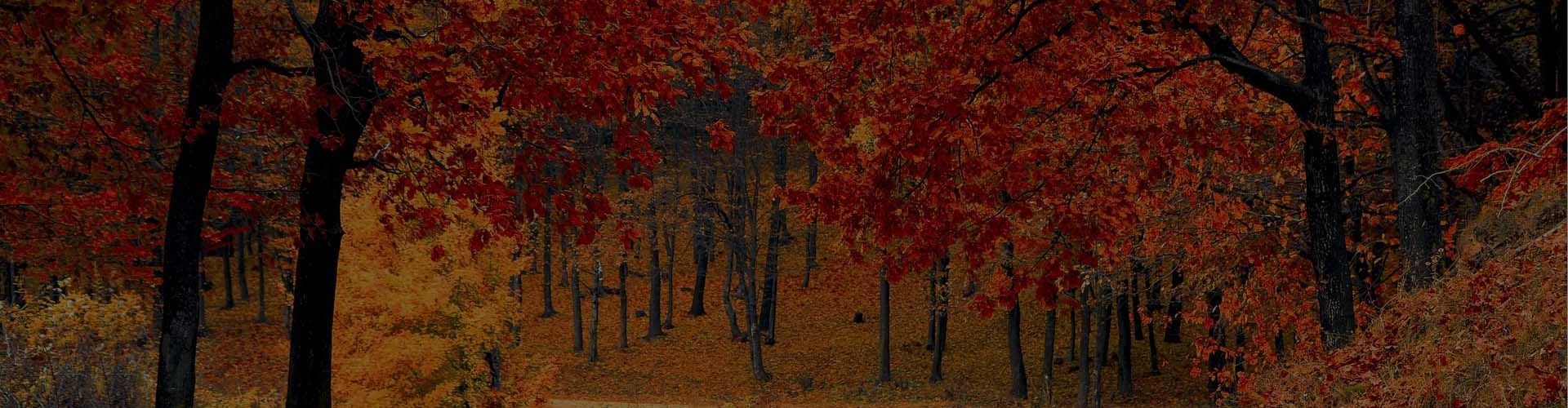 Fall